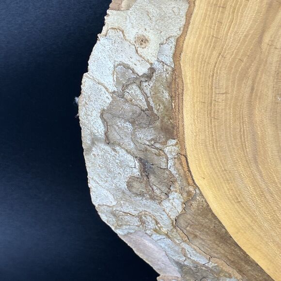 Burlwood Cut Live Edge Wood Slab Slice Owl Decor Unique OFAK Artwork - Picture 5 of 16